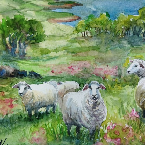 Scottish landscape with sheep