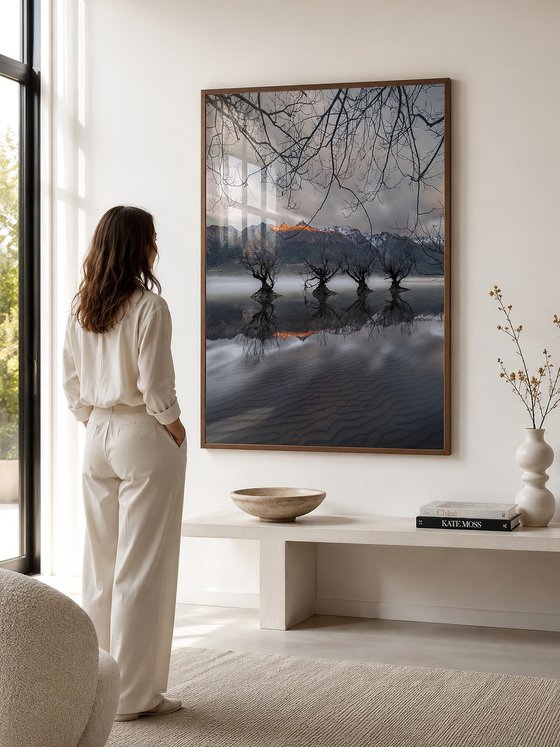 Willow Guardians