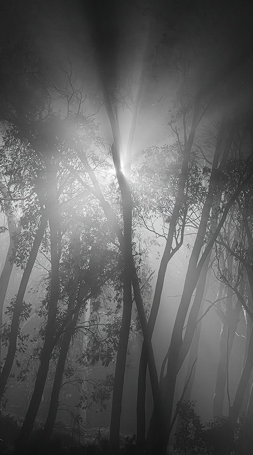 Arrival Beyond the Mist by Nick Psomiadis
