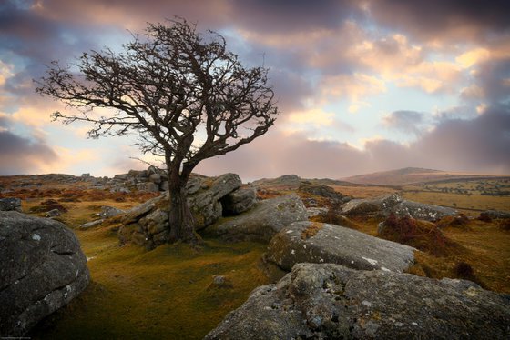 Saddle Tor Dartmoor National Park at Sunset Devon England UK