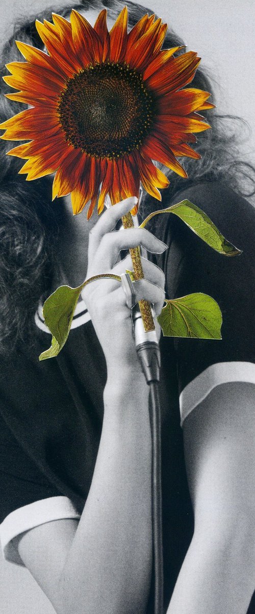 The Singing Sunflower by Linda Simon