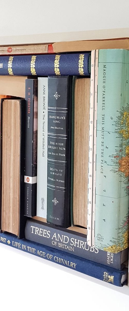 Bookshelf #1 by Peter Walters