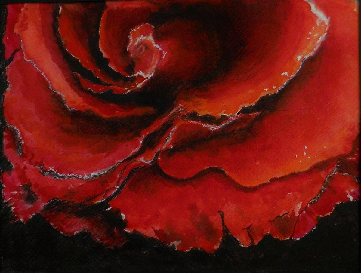 The passion of a rose by Ninni watercolors