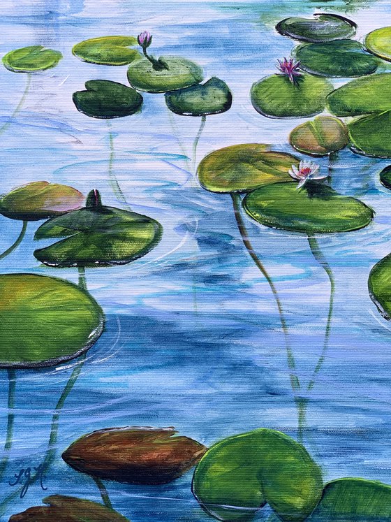 Water Lilies 4