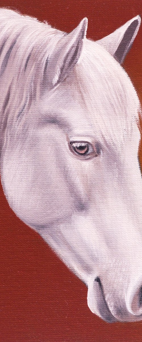 Horse Portrait 88 by Anastasia Parfilo