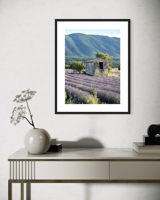 THE ABANDONED FARMHOUSE