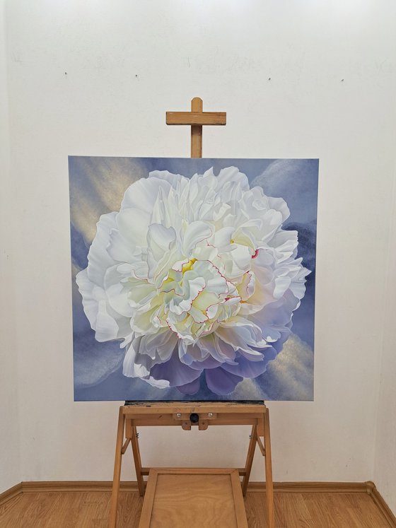 The breath of peony