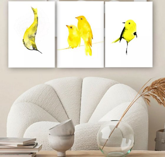 Birds