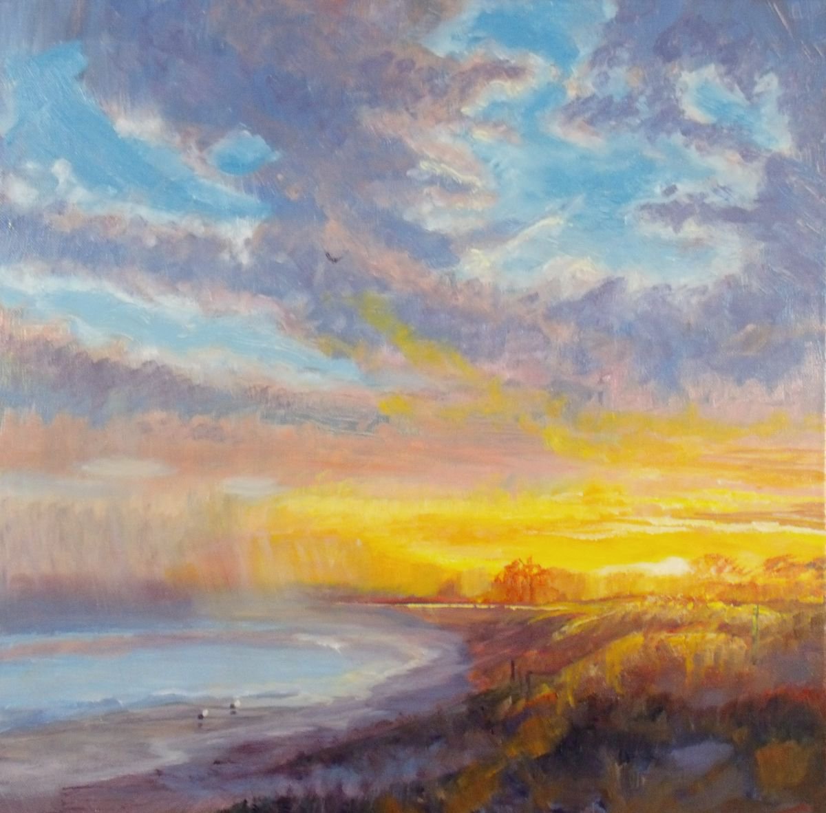 Beach Sunset By Elena Sokolova, 20 X 20, Artwork For Sale On Artfinder