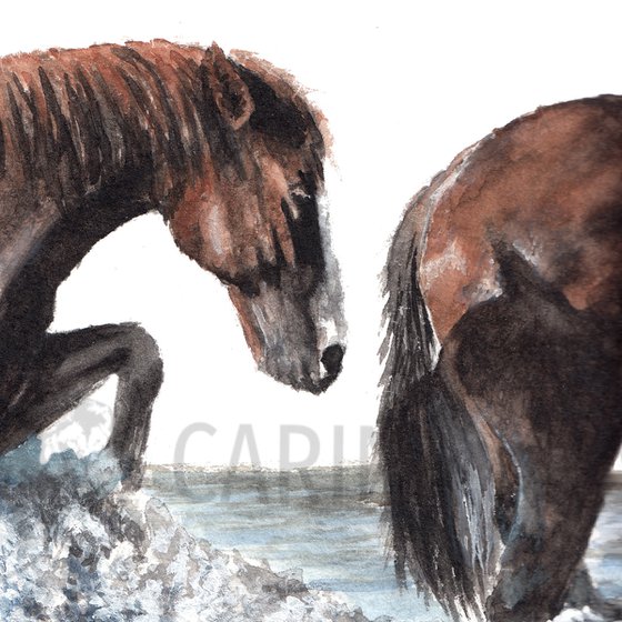 Riverhorses