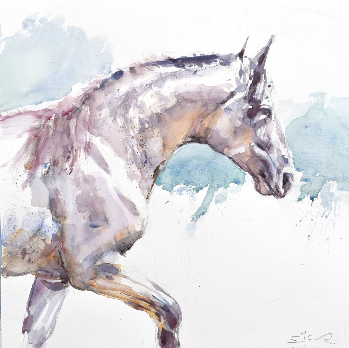 Expressive Animal Watercolour By Goran Zigolic Watercolors, 19 X 20, White Horse, Original Artwork