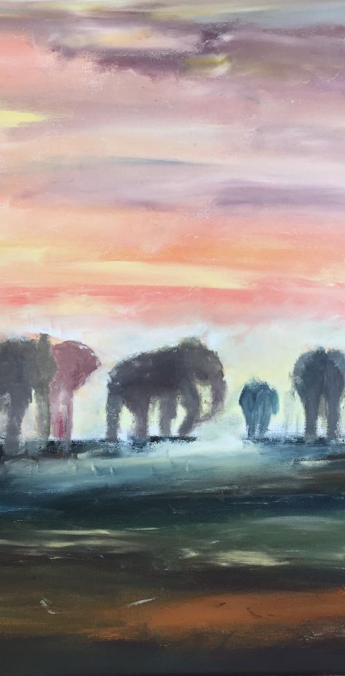 Elephants by Ryan  Louder