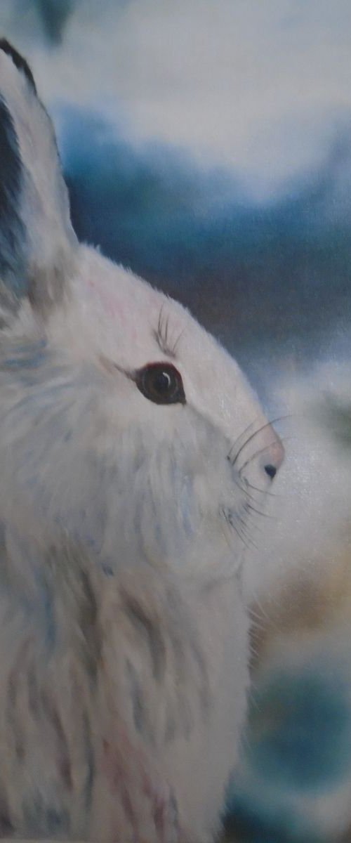Little Rabbit :) by Timea  Valsami
