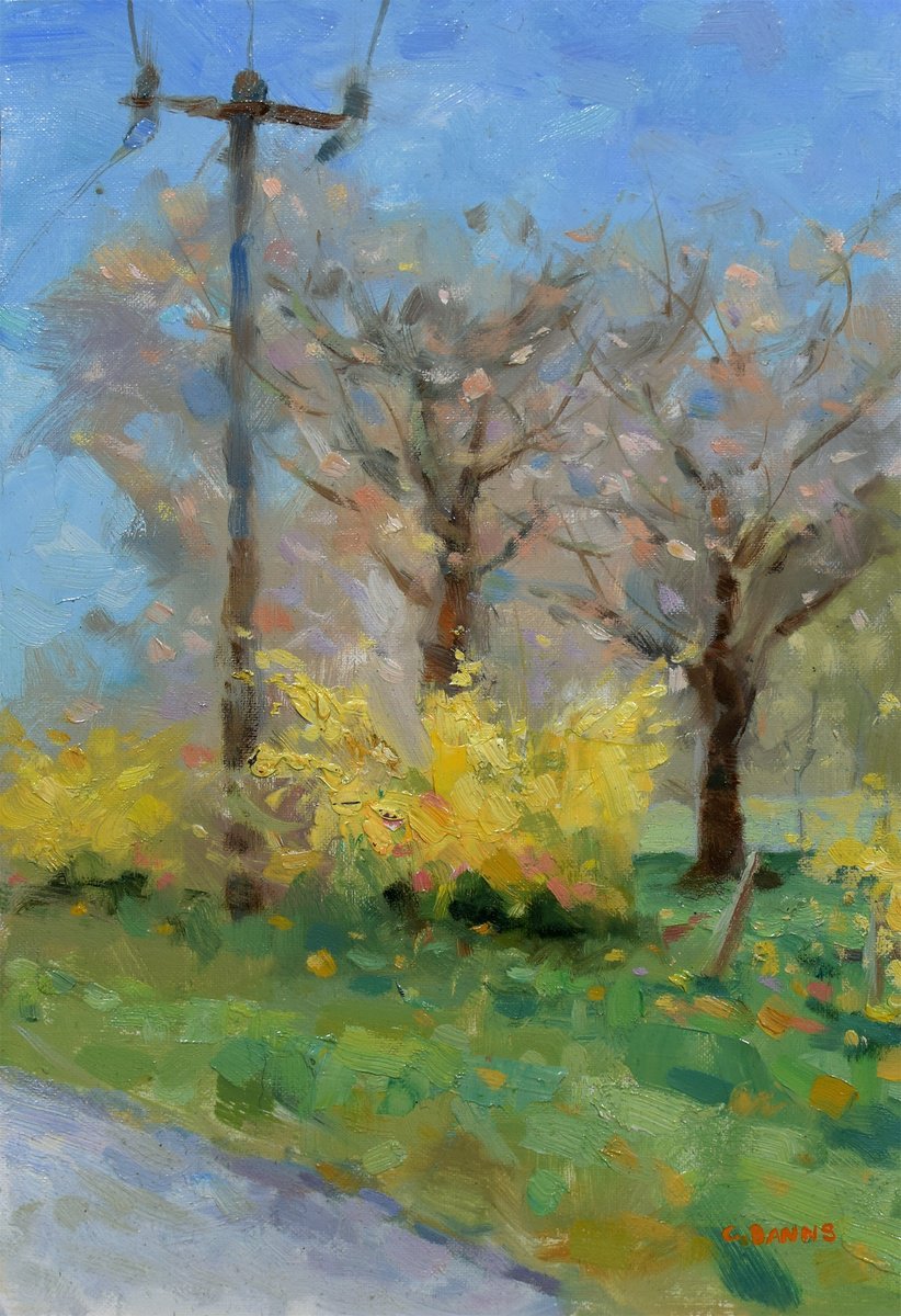 Impressionistic Landscape Oil Painting By Gav Banns, 8 X 12, Impressionism Forsythia Spring Bloom By The Roadside, Artfinder