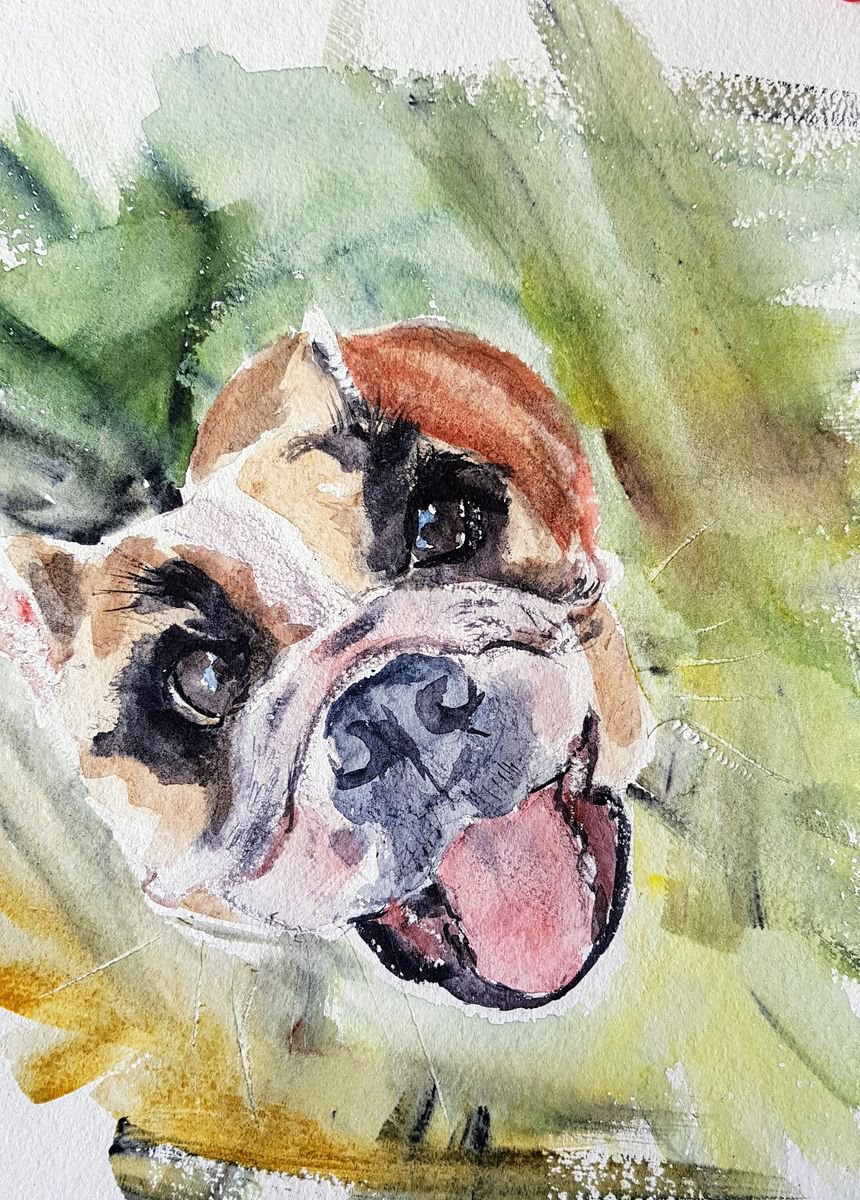 Impressionistic Animal Watercolour By Leonid Kirnus, 8 X 12", Bulldog Face, Original Artwork
