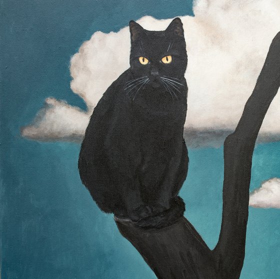 The Cult of the Black Cat