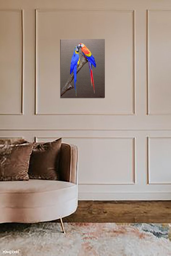 "Loving Macaws".