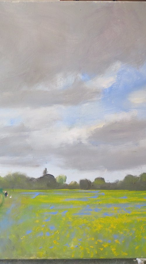 Water Meadow, May 23 by Malcolm Ludvigsen