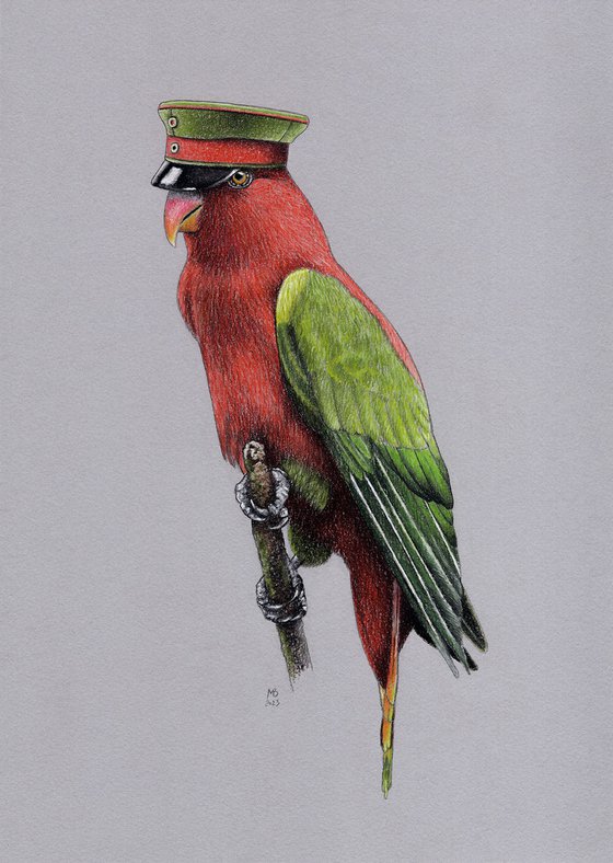 Original pastel drawing bird "Chattering lory"