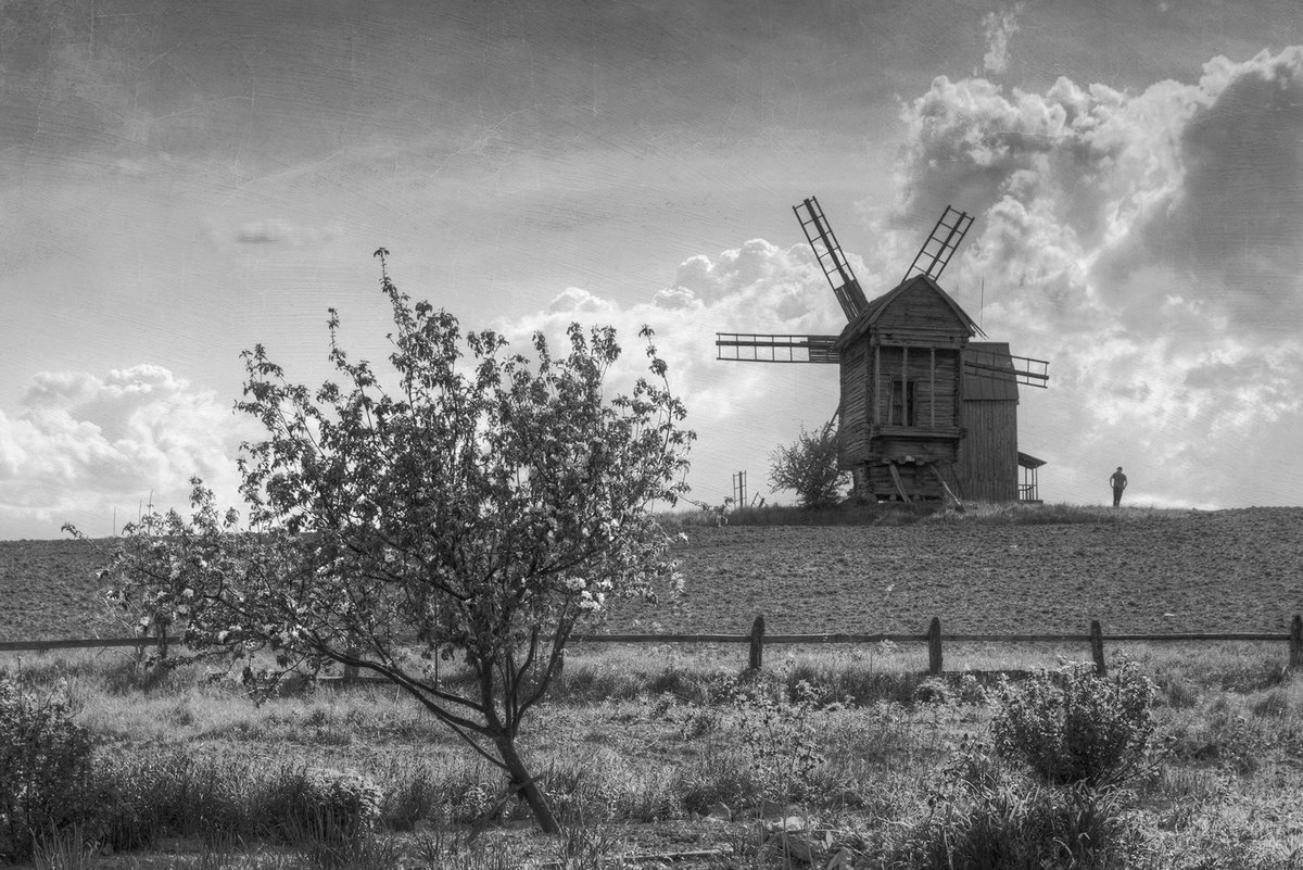 Impressionistic Landscape Photograph By Valerix, 24 X 16", The Month Of May., Original Artwork