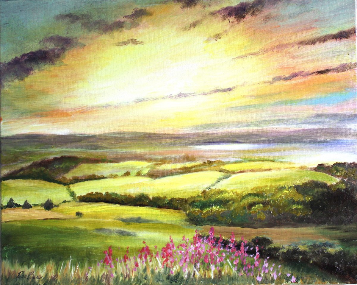 Sunset Over The Downs By Rod Bere, 20 X 16, Artwork For Sale On Artfinder