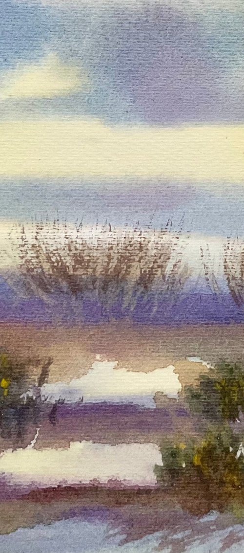 In the dunes at Studland, Dorset by Samantha Adams