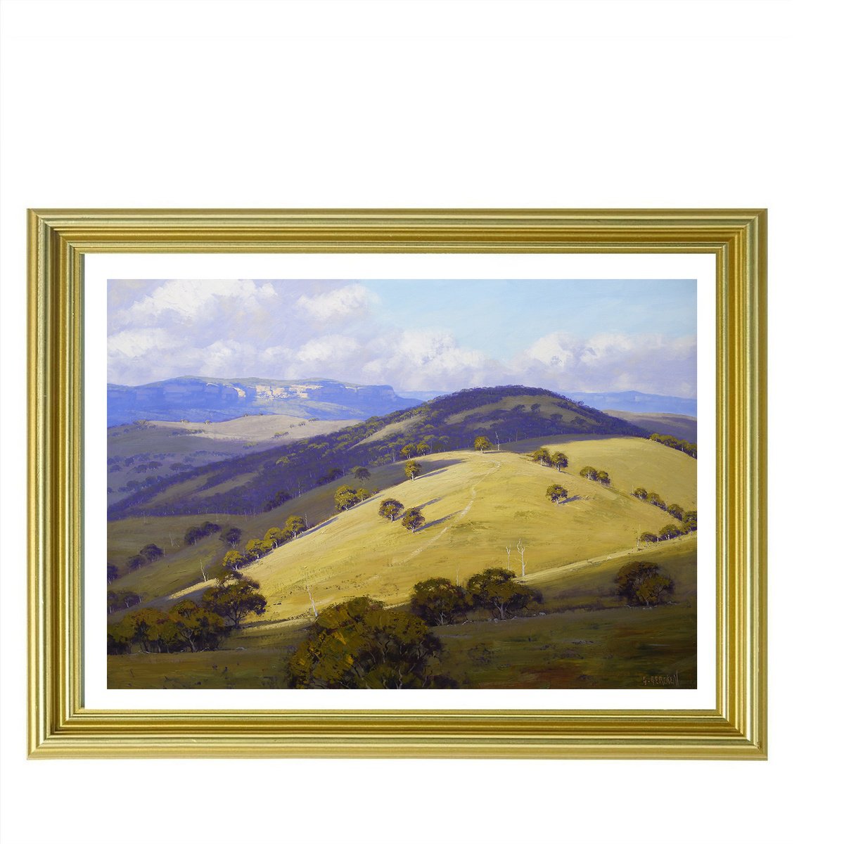Sunlit Hill Kanimbla Valley By Graham Gercken, 43 X 33, Artwork For Sale On Artfinder