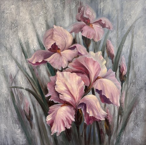 In the haze of flower dreams. Pink irises by Larisa Batenkova