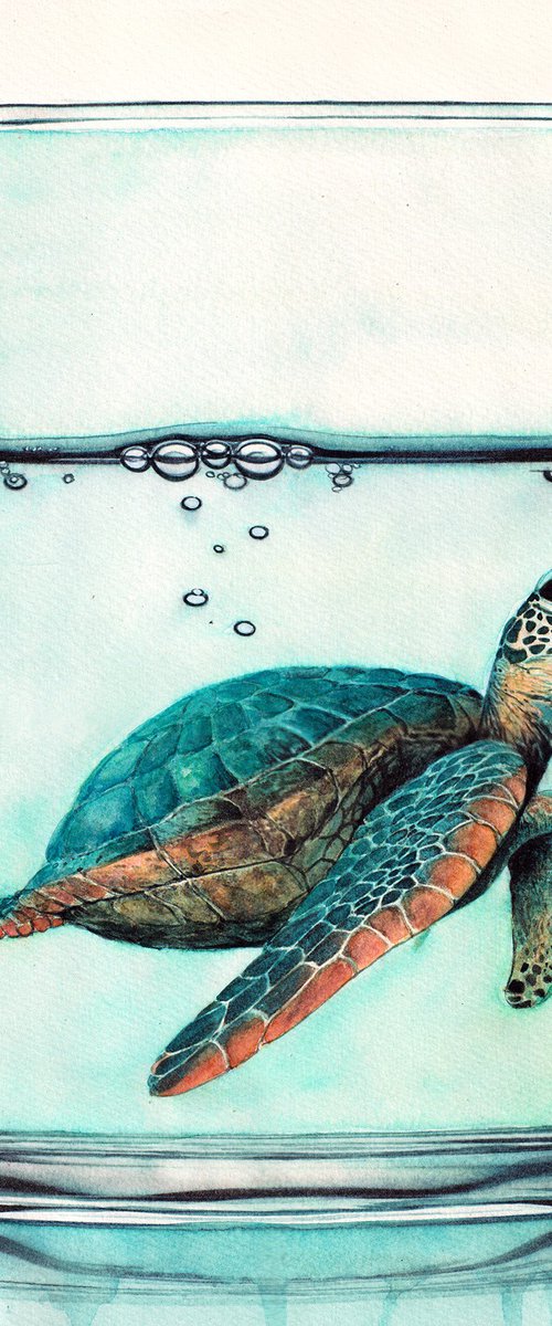 Turtle in Glass by REME Jr.