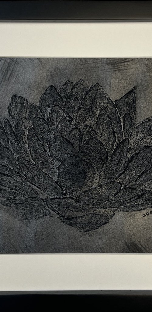 Black water lily by Iryna Antoniuk