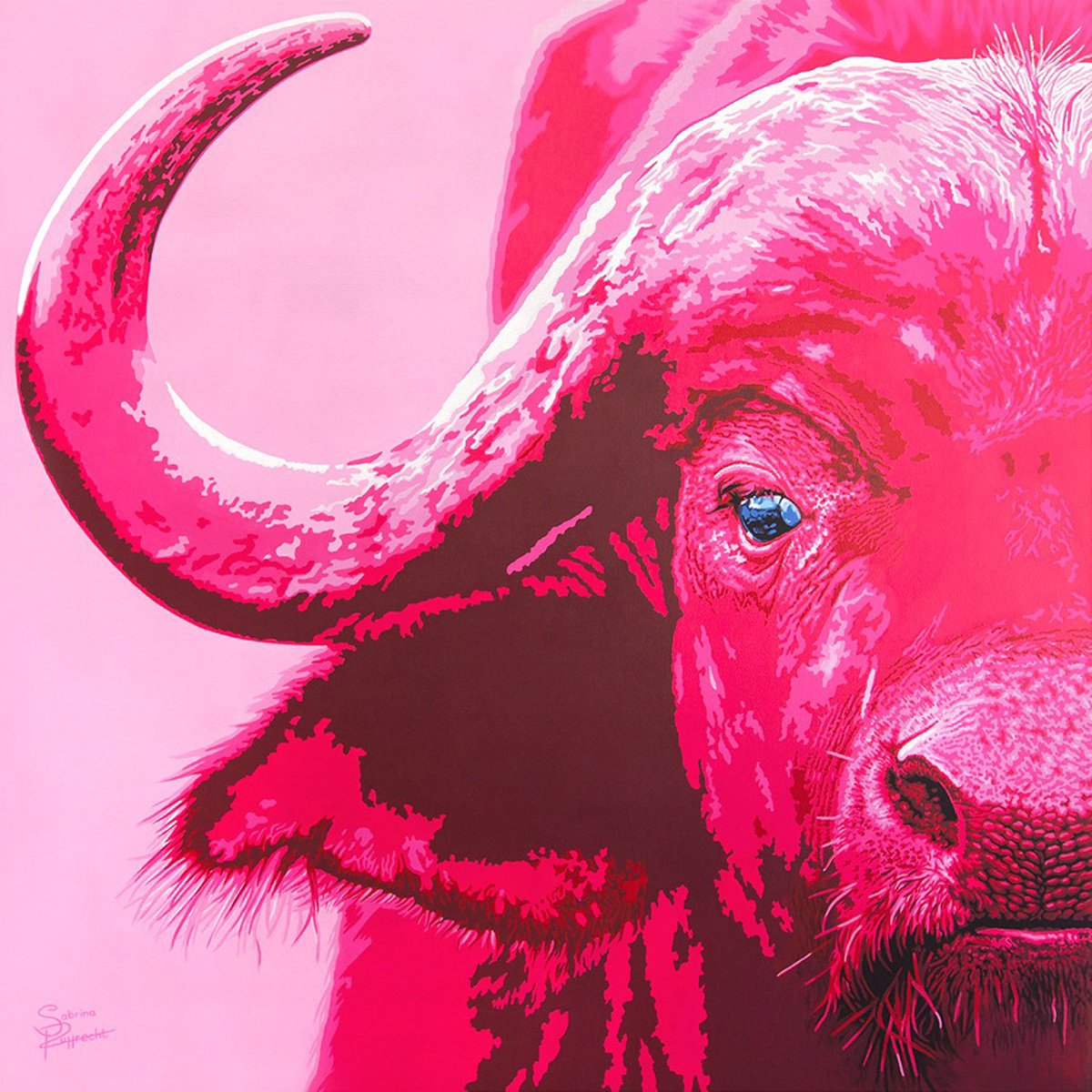 Pink Buffalo by Sabrina Rupprecht