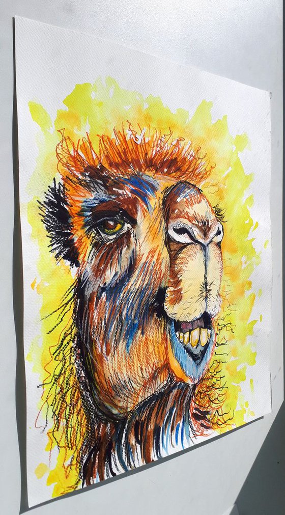 "Camel"