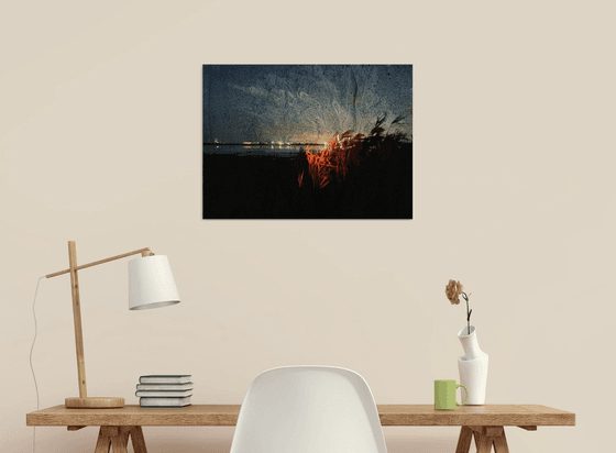 Screenprint Salt lake in Odesa