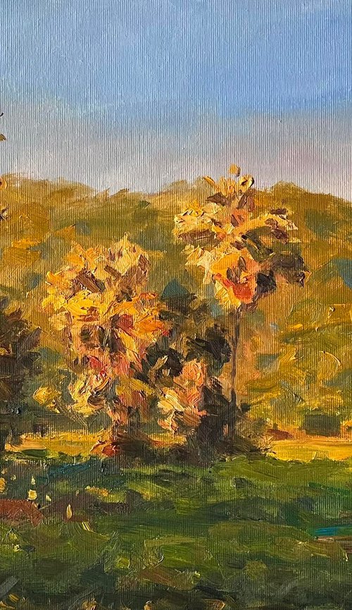 “A Dialogue Between Light and Shadow at Dusk” by Sarawut Donrasri