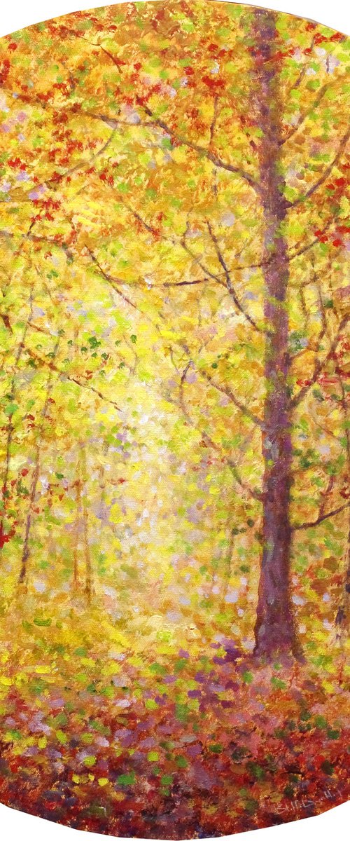 Autumn Moments by Stella Dunkley