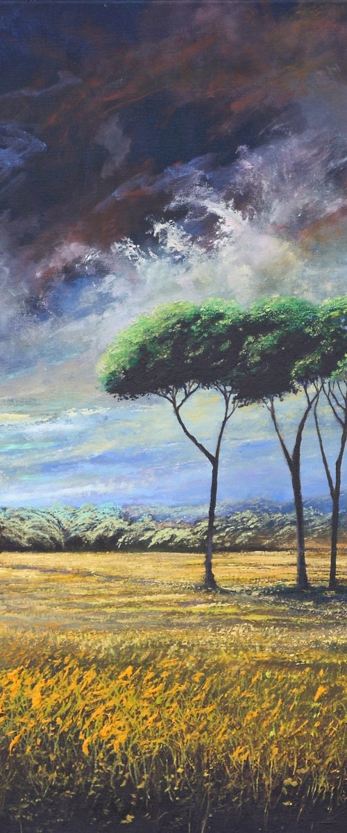 The Valley of the Stone Pines by Simon Jones