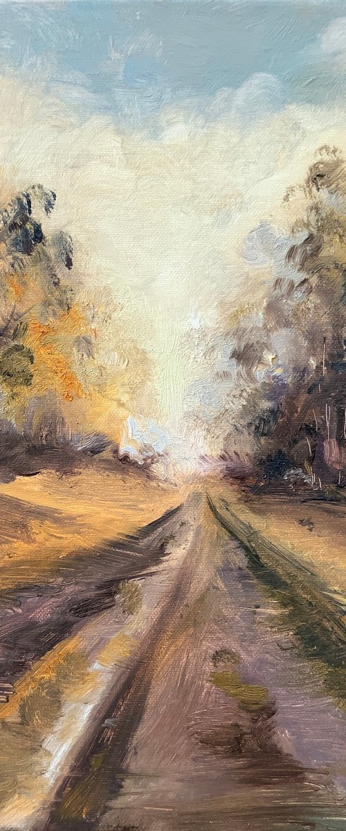 After the Rain by Alexandra Jagoda (Ovcharenko)