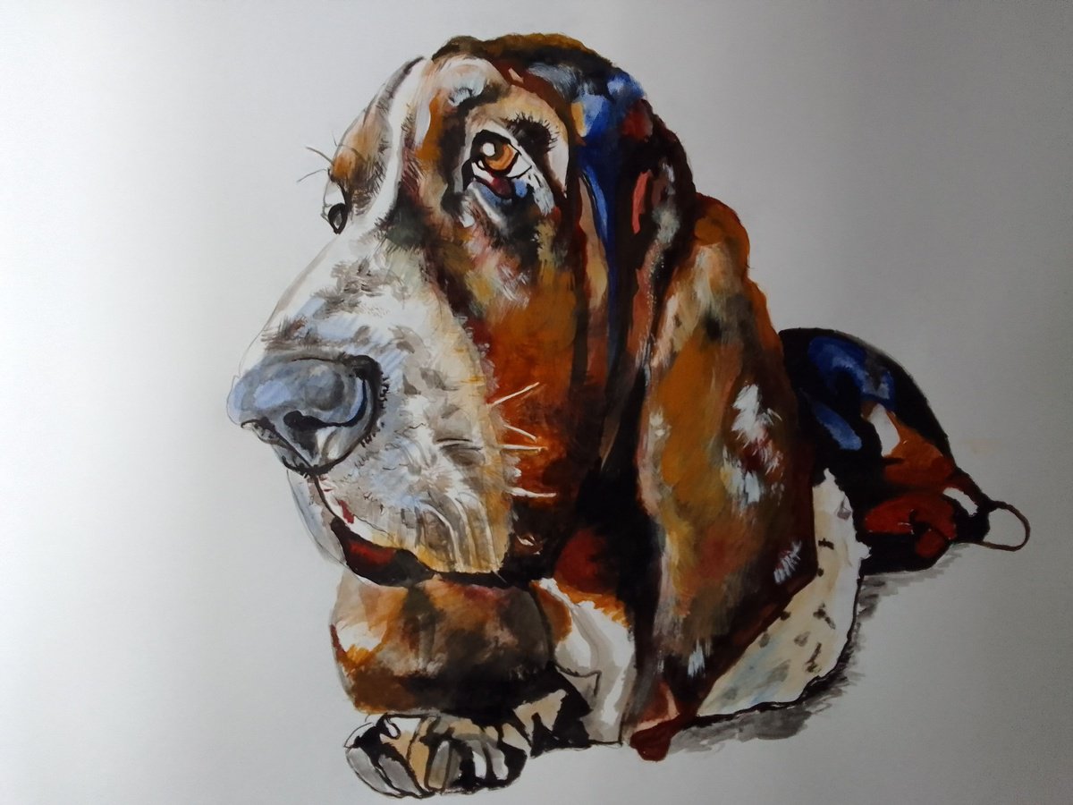 Photorealistic Animal Acrylic Painting By Soso Kumsiashvili, 33 X 24", Bassethound, Original Artwork