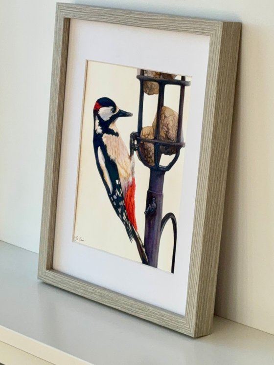 Woody The Woodpecker