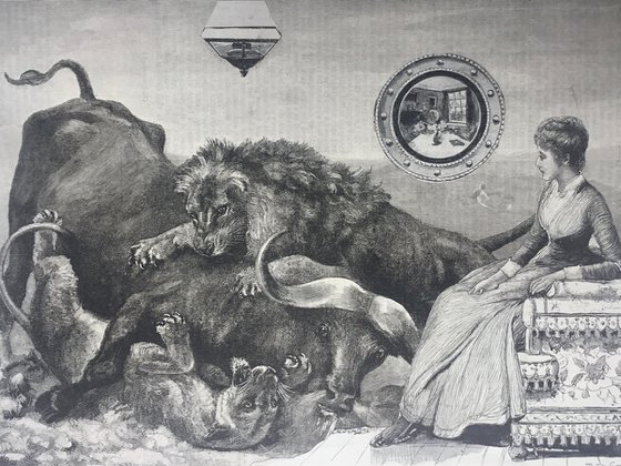 African buffalo and lions
