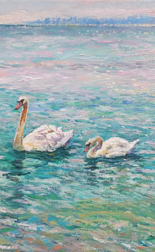 Swans of the Black Sea. by Svitlana Gunchenko
