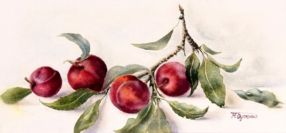 Branch of Red Plums