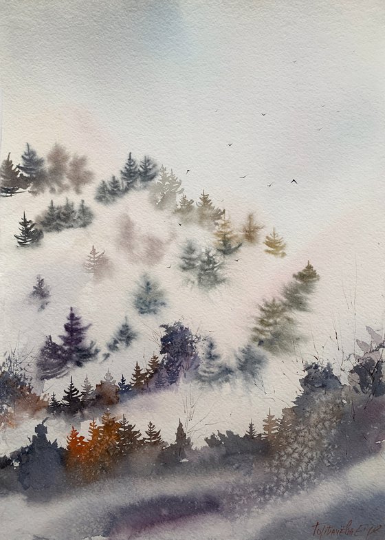 Mountain spruce forest #1