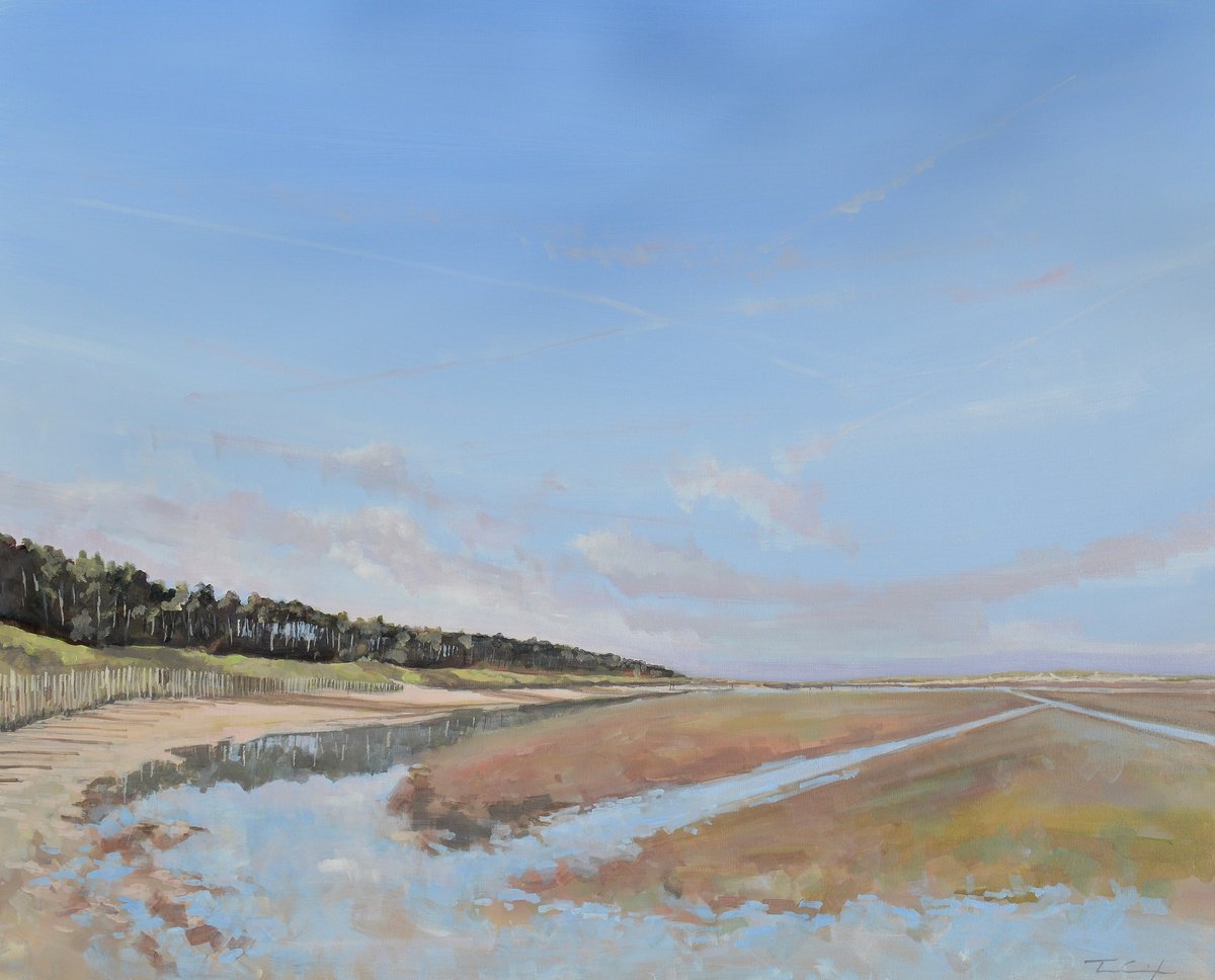  Holkham Beach Norfolk, West. By Tom Cringle, 39 X 31, Artwork For Sale On Artfinder