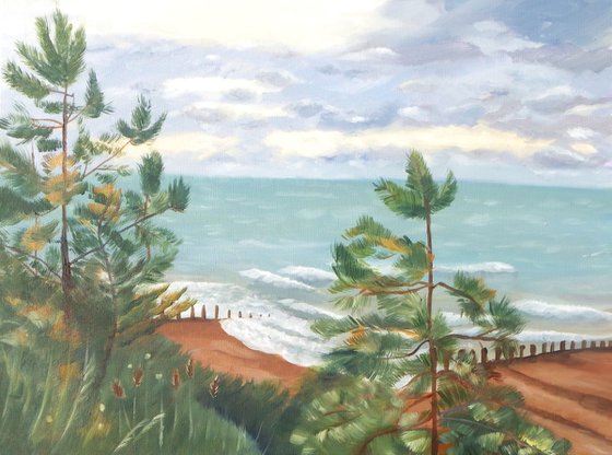 Pine trees by the sea