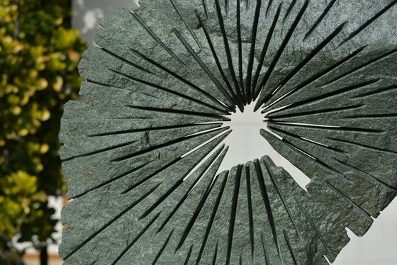 "Brilliance of Mind"