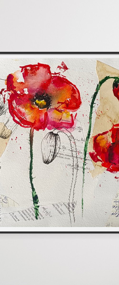 Poppy Flower Collage by Evgenia Smirnova