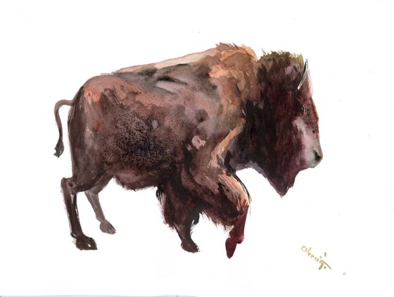 Bison