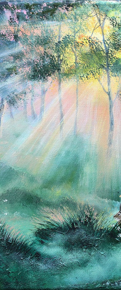 The bunny who loved sunbeams by Katerina Koroleva