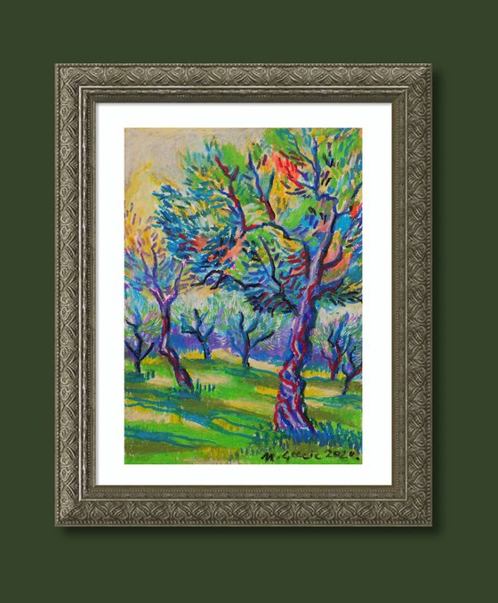 Olive grove No 27